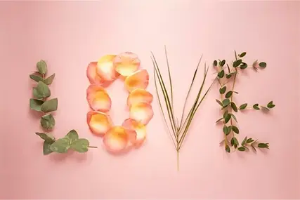 520 сезон на изповеди丨Готови ли сте да си признаете